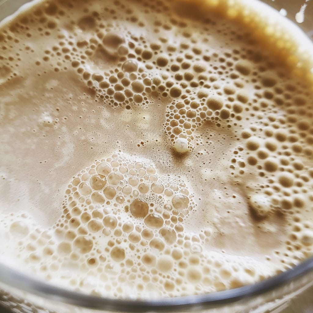 biere-artisanale-comprendre-fermentation-detail